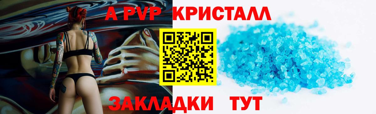 Альфа ПВП СК КРИС Гагарин