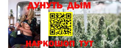 гидропоника Гатчина