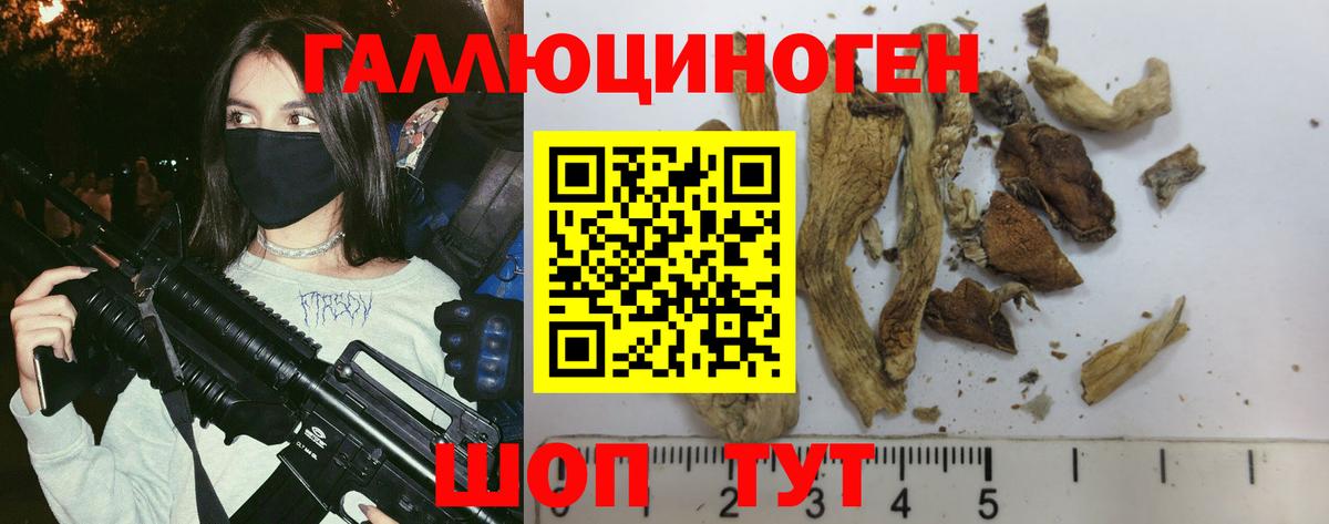 Псилоцибиновые грибы Magic Shrooms  Вход с VPN  Псилоцибиновые грибы прущие грибы  Гагарин 